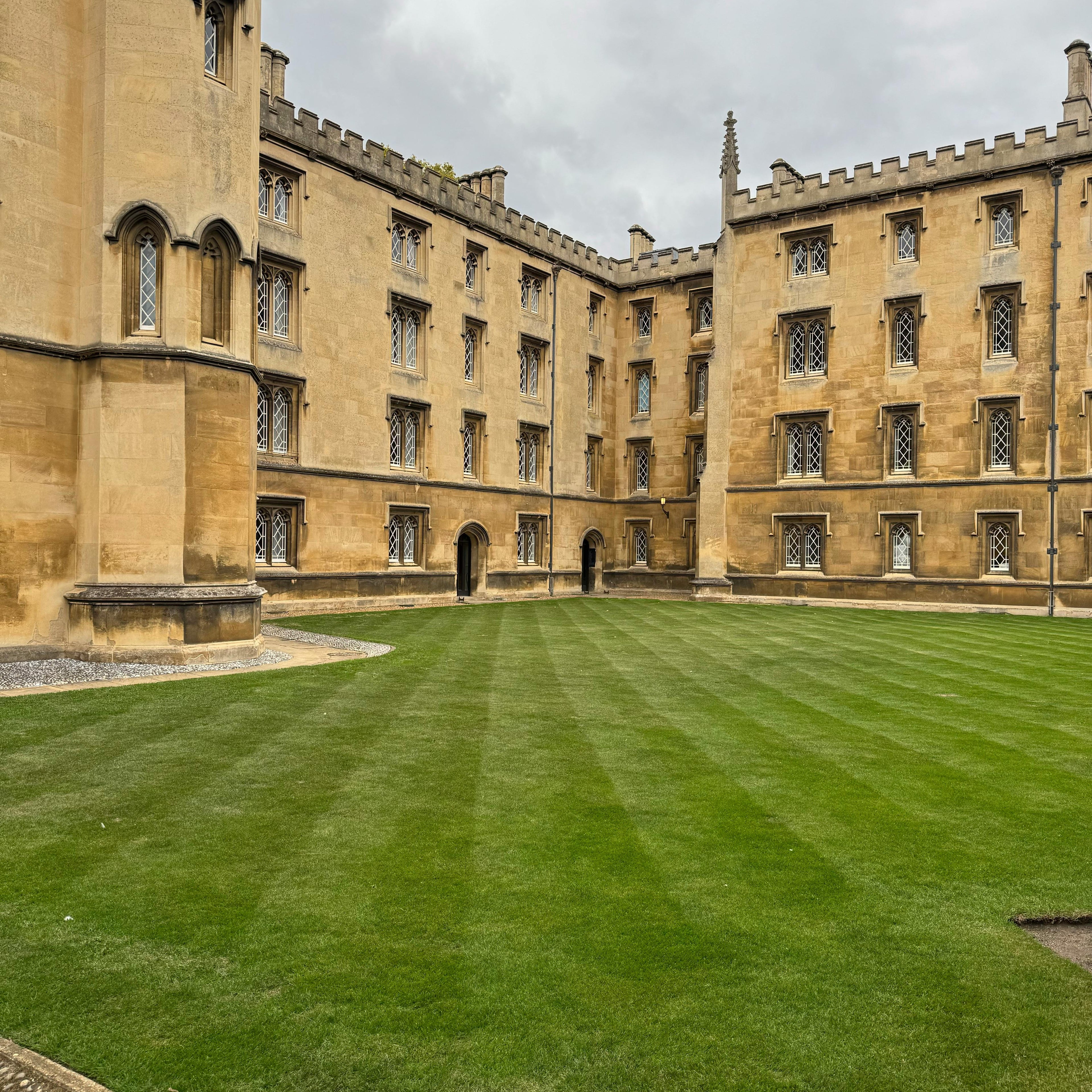 Application Mentorship & Support